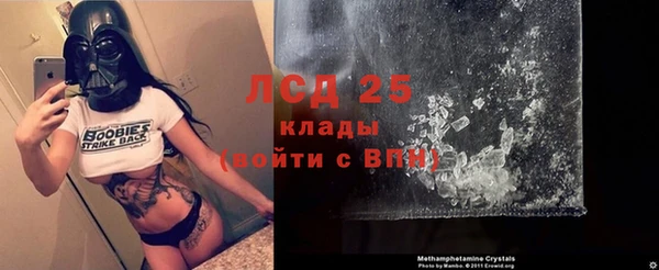 гидра Покров