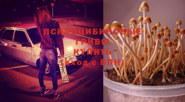 MDMA Аркадак